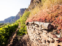 Die Weinberge entlang der Nahe laden zu einer Wanderung ein.