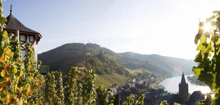 Weinreise an die Mosel: Weisswein auf Platz 1