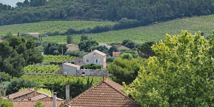 Kulinarisch betrachtet ist die Provence eine der bedeutendsten und leckersten Regionen Frankreichs. (Foto: AdobeStock - 103323 Pictures news)