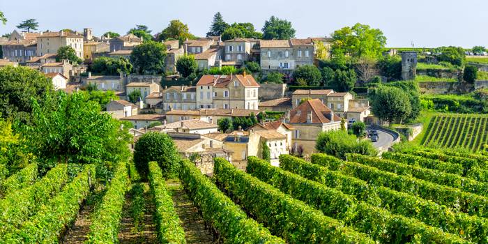 Wer Wein mag, wird Frankreich lieben. (Foto: AdobeStock - 115524  laraslk) 