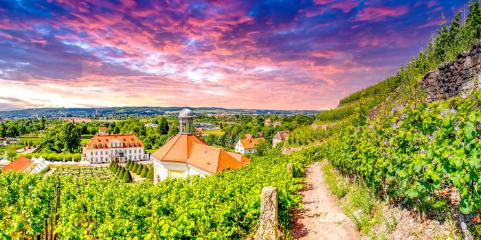 Zwischen Meißen und Dresden liegt Deutschlands östlichstes Weinanbaugebiet. (Foto: AdobeStock - 105617 Sina Ettmer)