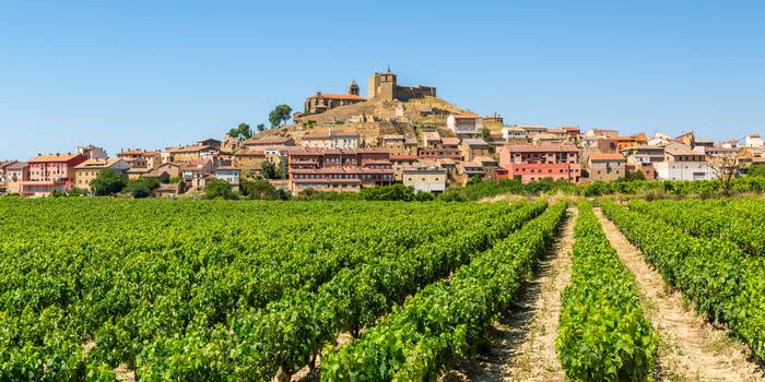 In den Weinbergen Nordspaniens wird edler Rioja angebaut und verköstigt. (Foto AdobeStock - 103546  jon_chica)