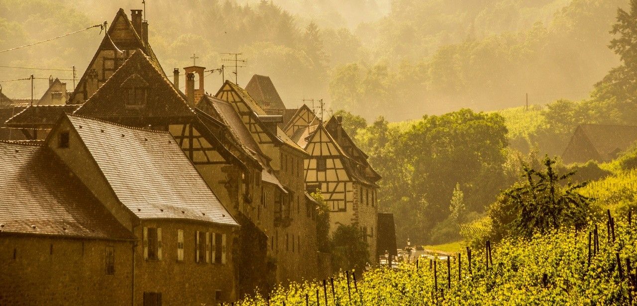 WeinWanderWochenende: Entdecken Sie die Pfalz mit fachkundigen Weingästeführern
